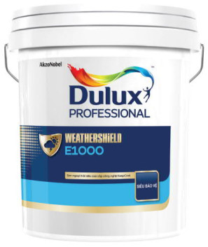 Sơn nước ngoài nhà Dulux E1000 Dự án