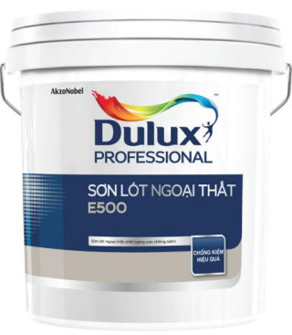 Sơn lót ngoài nhà Dulux Professional E500 Dự án