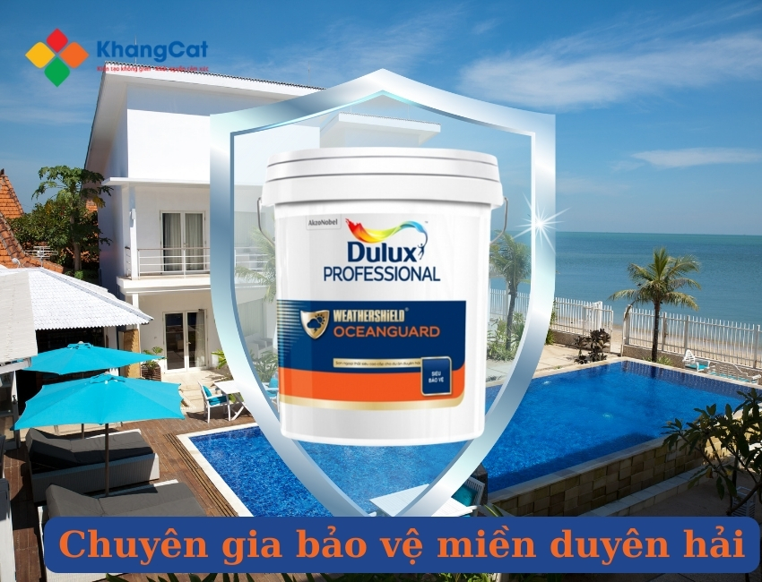 bảo vệ an toàn cùng DULUX PROFESSIONAL WEATHERSHIELD OCEANGUARD dự án